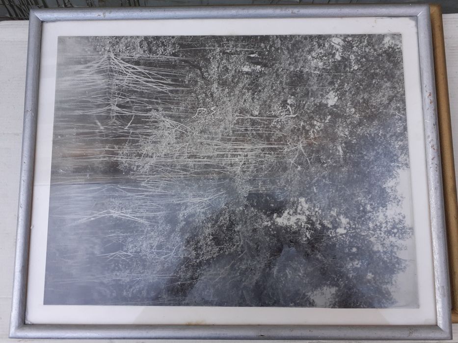 Quadros antigos "Competidora"