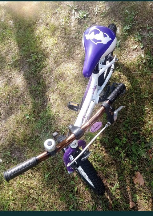 Rowerek dla dziewczynki