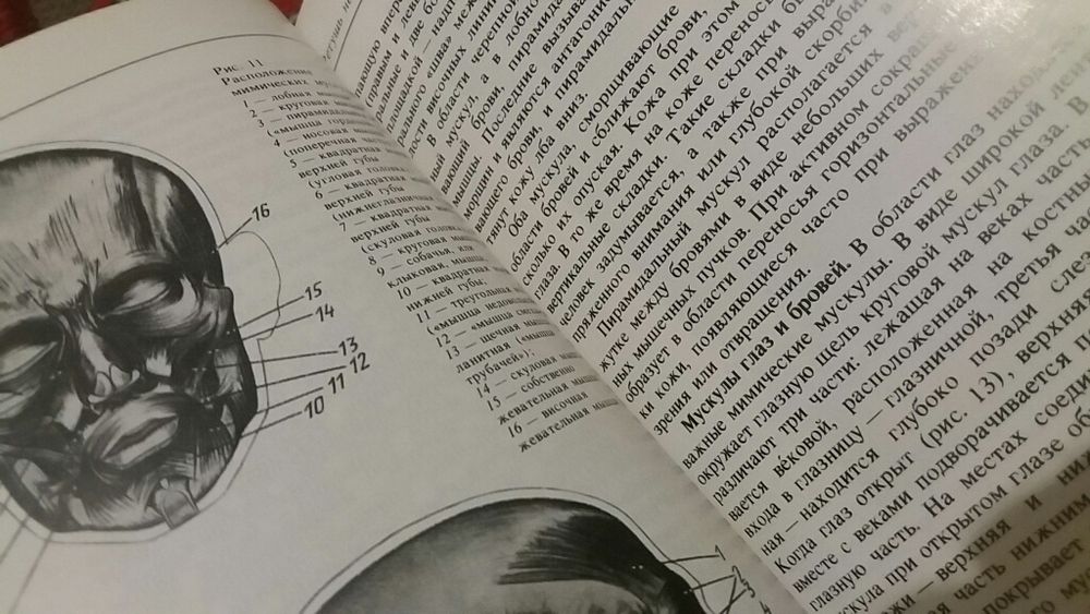 Учебник Панферов Фельдман Фоторетушь портрет фотография