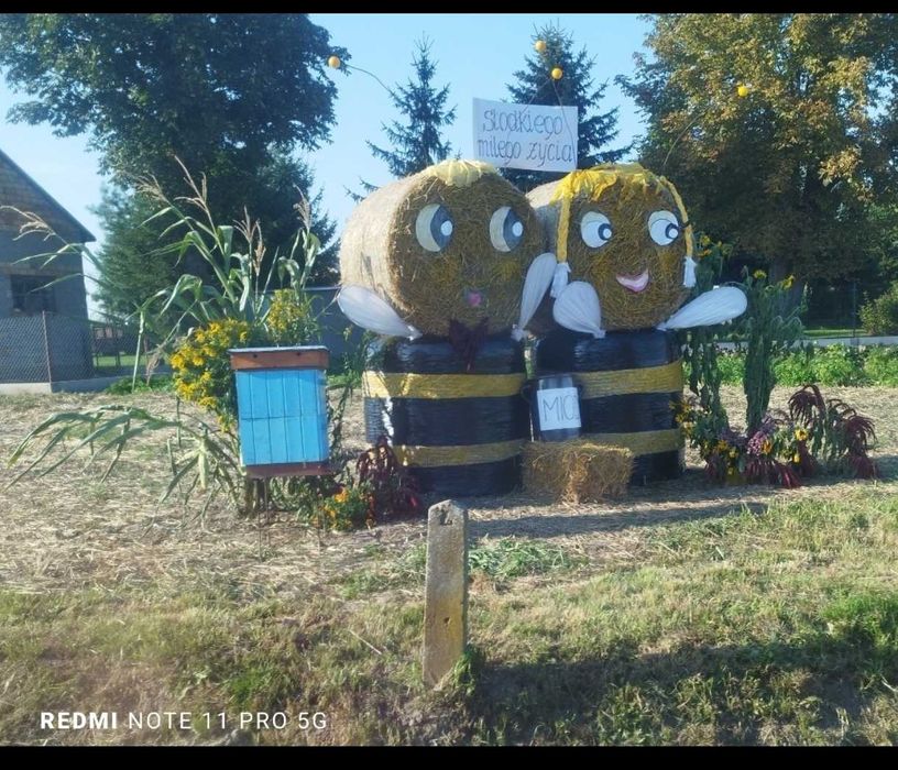 Ule Wielkopolskie z rodzinami pszczelimi