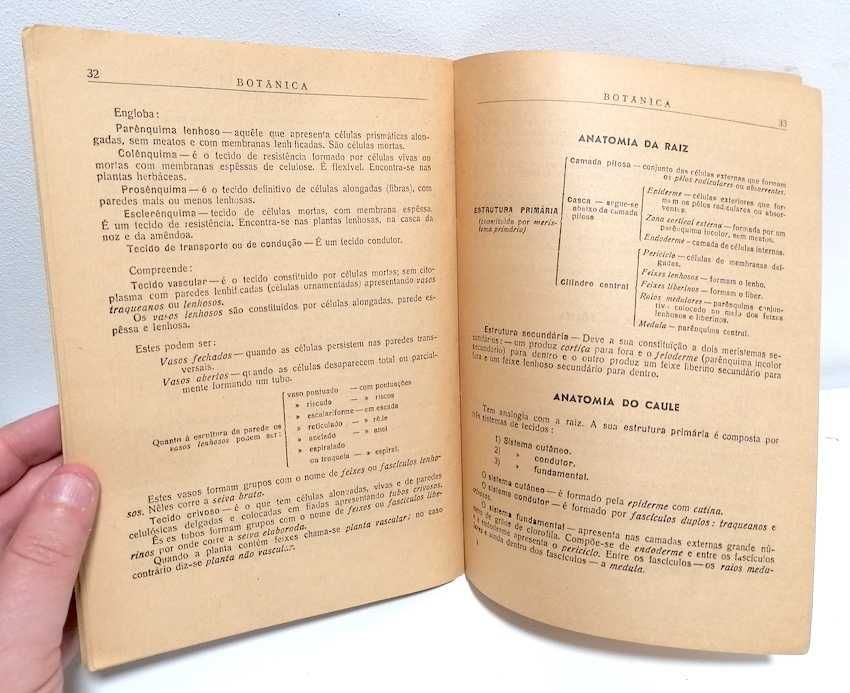 Botânica Simplificada em Quadros para o Curso Geral dos Liceus
