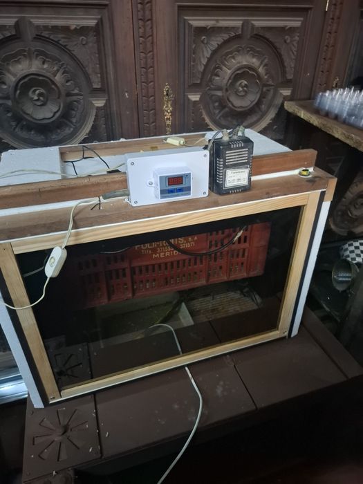 Incubadora Automatica