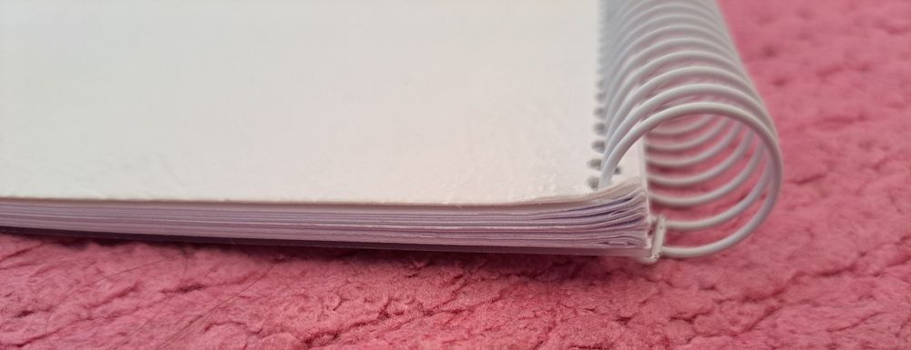 A Viúva e o Papagaio