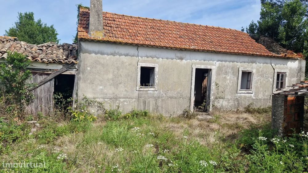 Fantástica Casa de Pedra - Colmeias