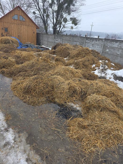 Oddam obornik koński