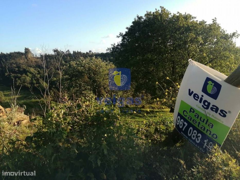 Terreno na Laranjeira de Alvorninha