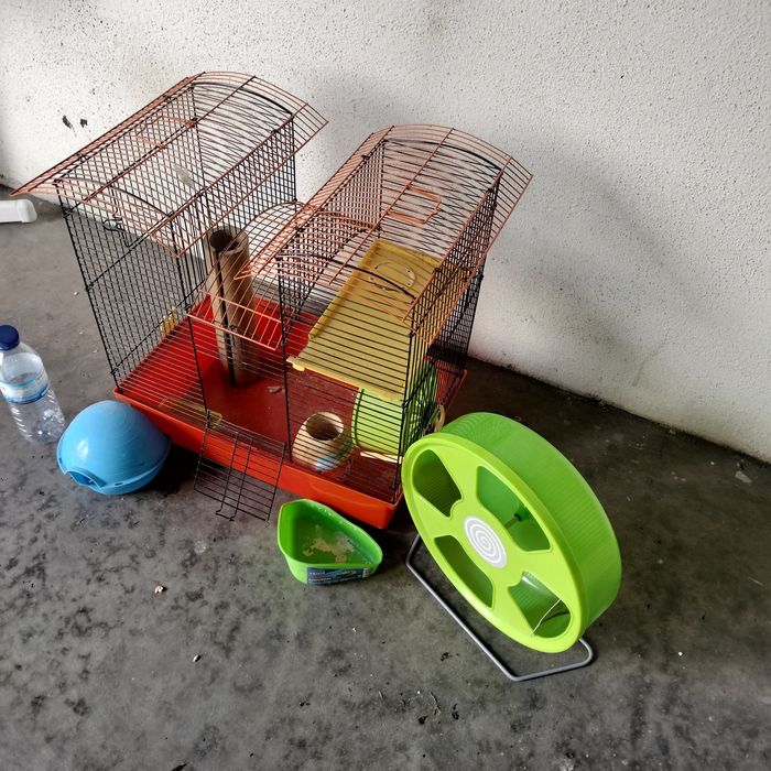 Gaiola coelho/outros roedores