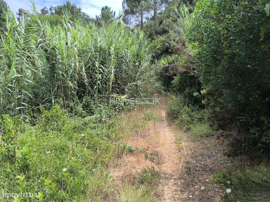 Terreno Rústico de 2032m2 com Curso de Água | Assafora - Sintra