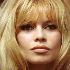 DVDs de filmes com Brigitte Bardot [1934 / 2025]