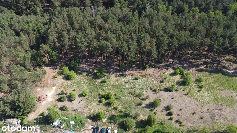 Działka budowlana 3000 m² z własnym lasem blisko jeziora – pohled 2