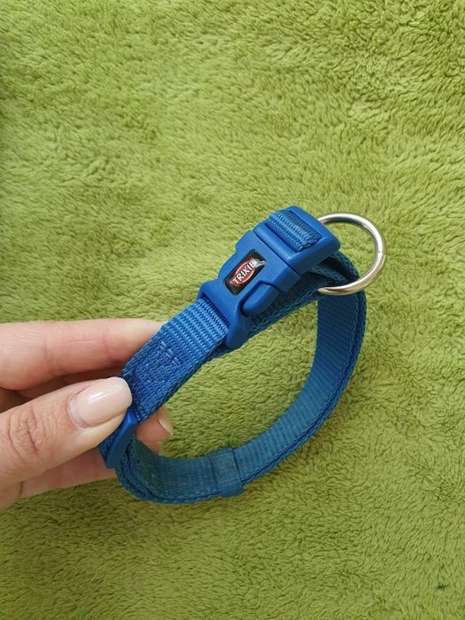 Ошейники и поводок