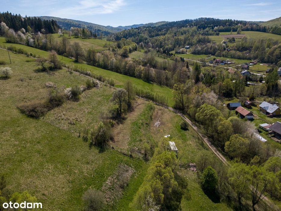 Bez sąsiadów | Solina | Budujesz od razu