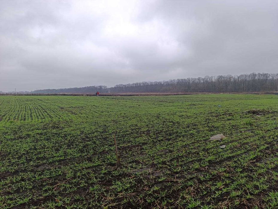 продаж земельної ділянки Чорний Острів