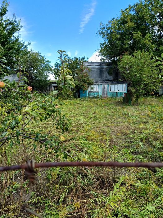 Продам дачу в Березанці