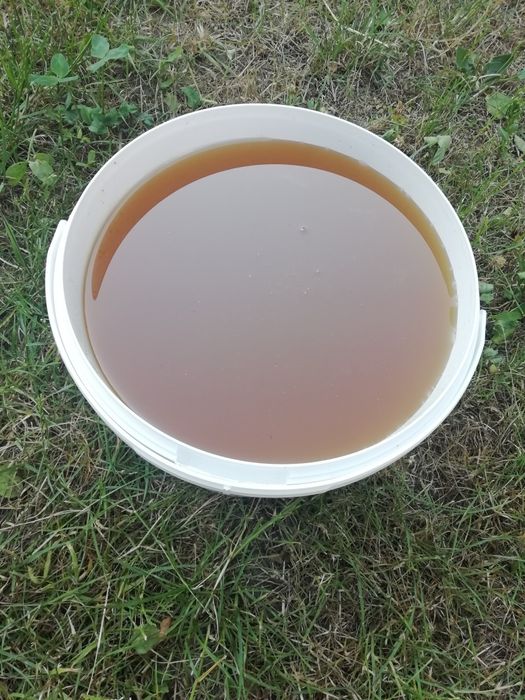 Обміняю або оптом продам мед.