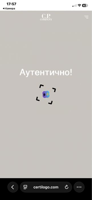 Zip-hoodie C.P Company