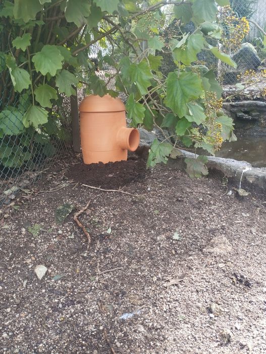 Ninhos em barro para patos /anatideos