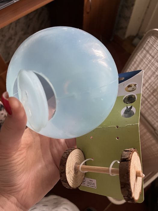 Віддам у добрі руки джунгарську хомʼячиху