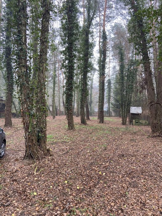 Sprzedam działkę 1600m. Woda, prąd, studnia, ogrodzona