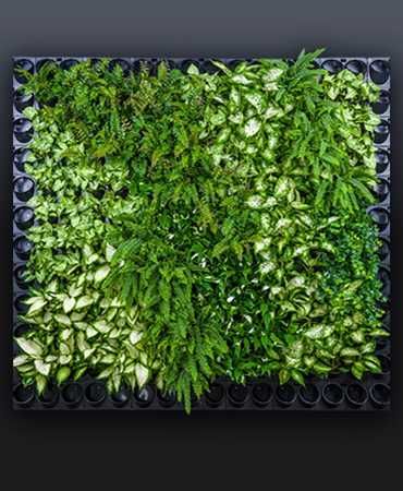 Modulo para construção de Jardins Verticais