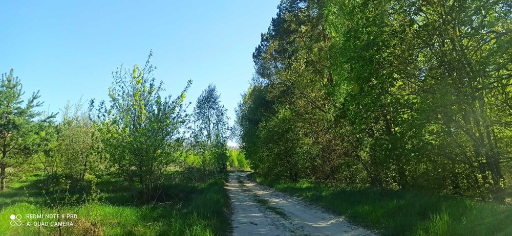 Земельна ділянка під лісом!!!