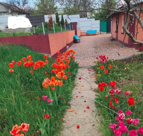 Терміновий продаж. Продається затишний одноповерховий будинок площею 86 м2 в Дергачах.