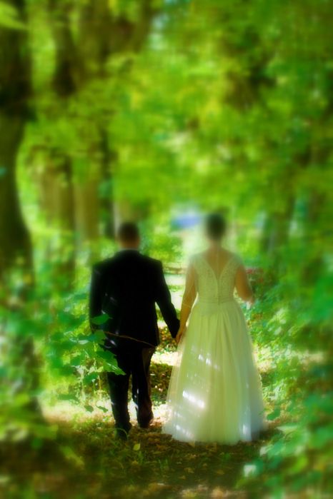 kamerzysta na wesele