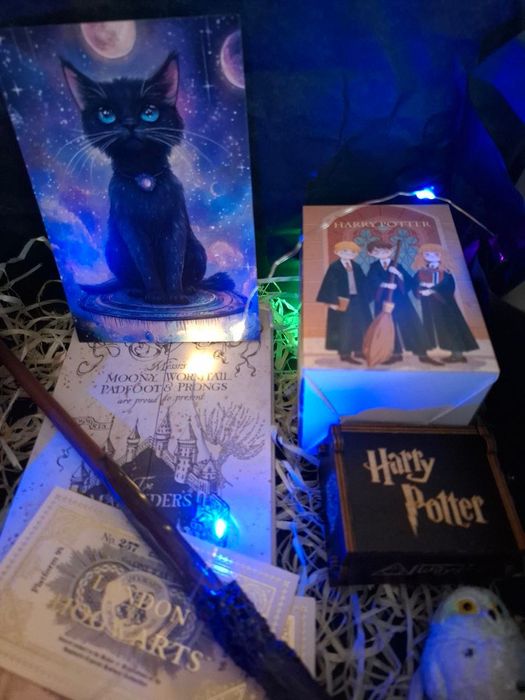Подарунковий бокс "Гаррі Поттер" (Harry Potter) - набір колекціонера