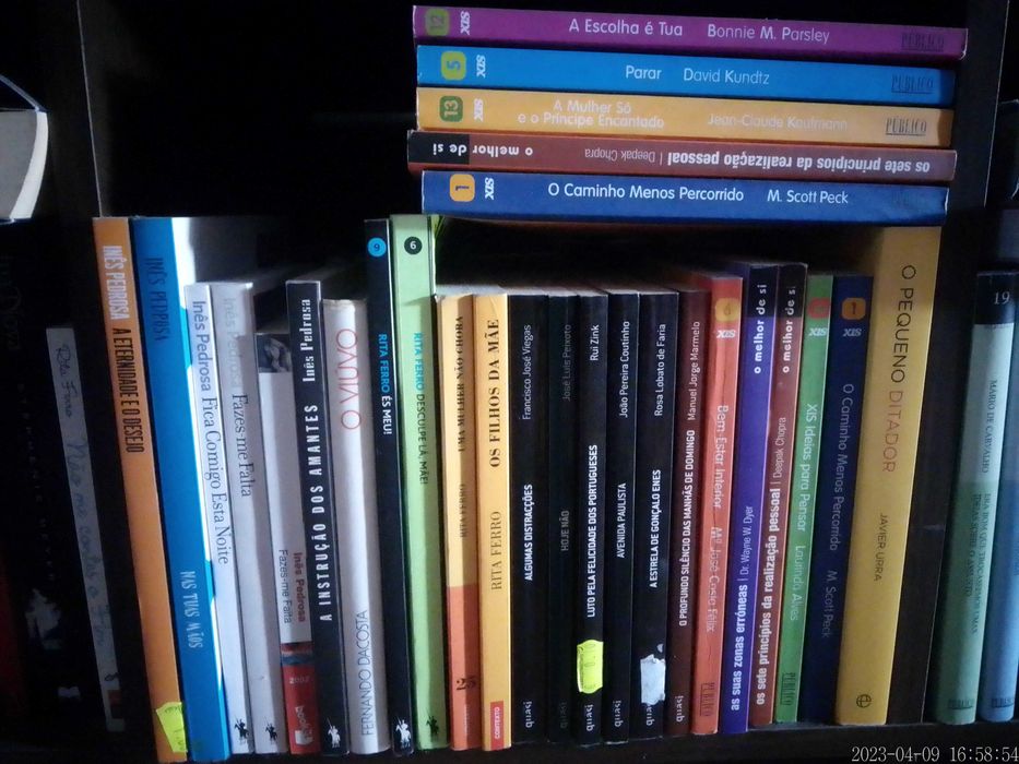 Livros Diversos - Vendidos EM SEPARADO - Vários Preços Q31+32+33