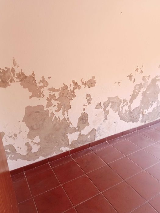 Apartamento/entrada independente/T1 - P. altos Covilhã - A. Útil - 61