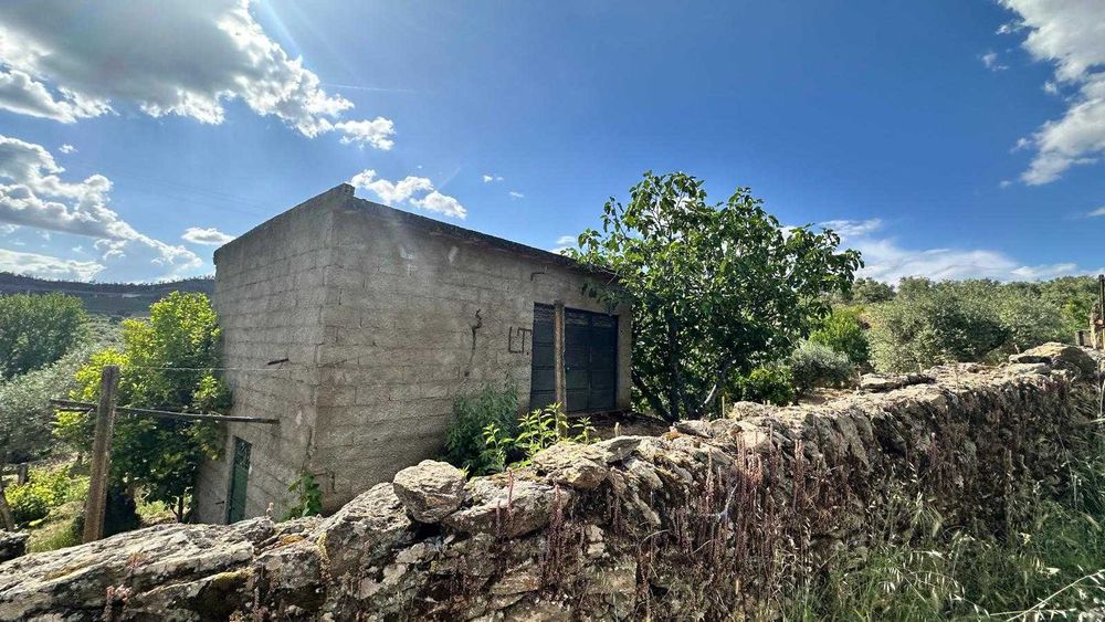 Terreno de 1,04 ha em Vila Flor (Vale da Vilariça) – Com Água (Furo/Tanque), Armazém Agrícola e Vistas Fantásticas