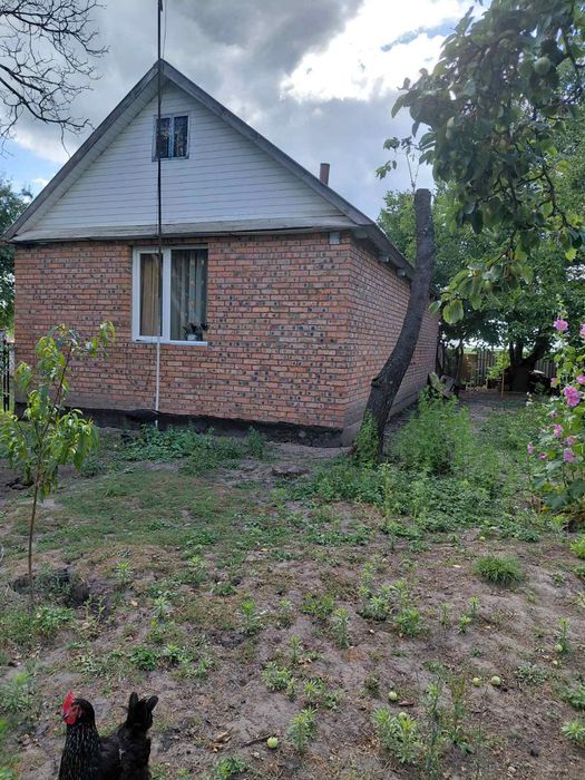 Продам хату в центрі села
