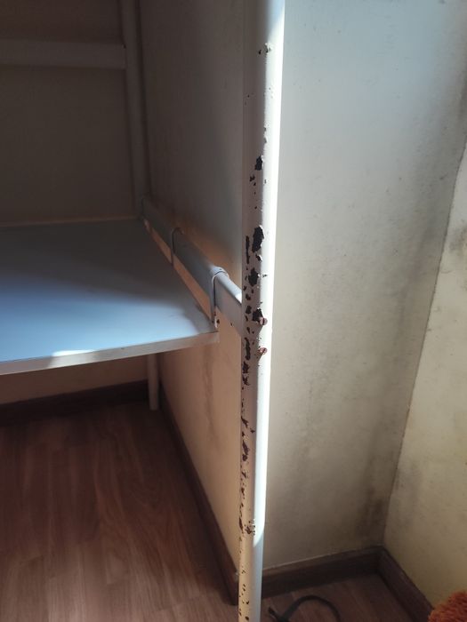 Cama elevada com secretária e prateleira para livros e computadores