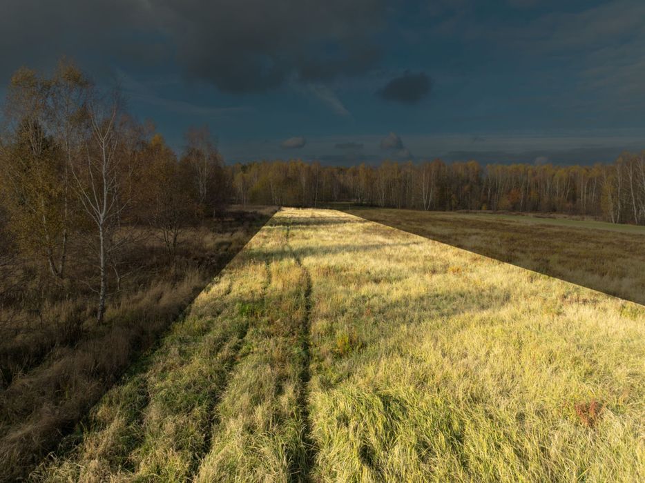 Na sprzedaż działka budowlana 40 ar | Książenice (powiat rybnicki)