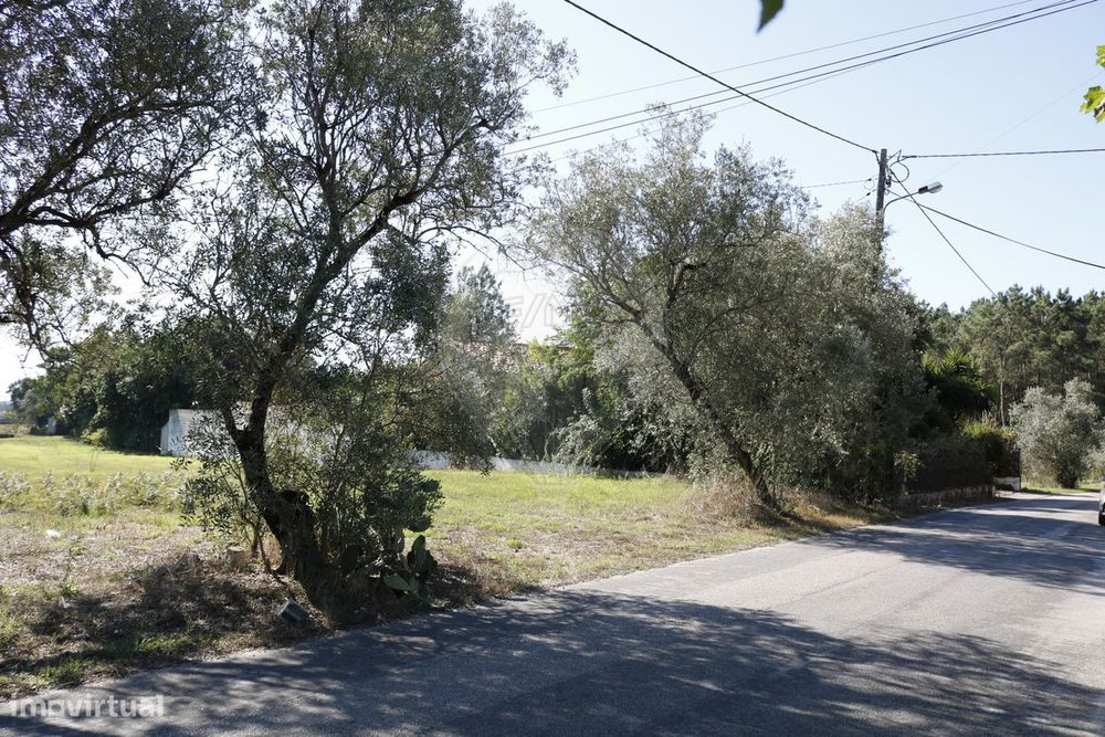 Terreno  para venda — Tocha, Coimbra