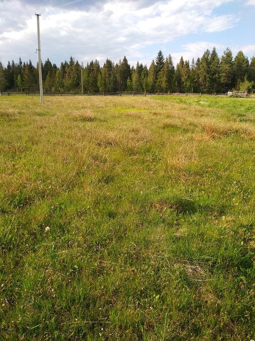 ДУЖЕ ДЕШЕВА ЗЕМЛЯ в найчистішій екологічній місцевості Прикарпаття !