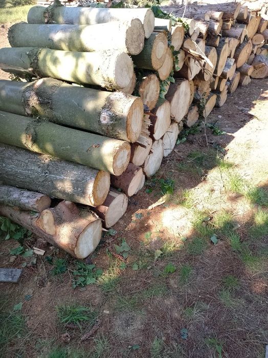 Drewno opałowe mieszane