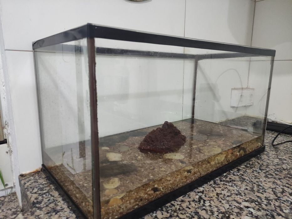 Aquário de 60 Litros
