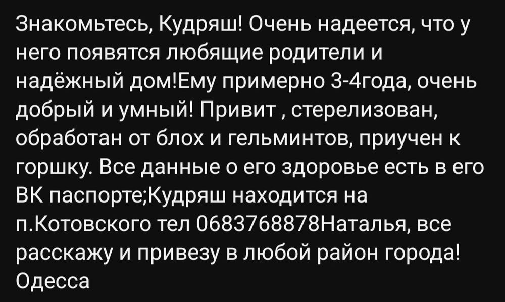 Отдам даром в добрые руки пушистого черно-белого котика