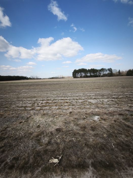 Sprzedam działkę budowlana Wola Młocka - Widok 2