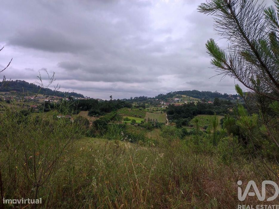 Terreno para construção em Colmeias e Memória de 116,00 m2