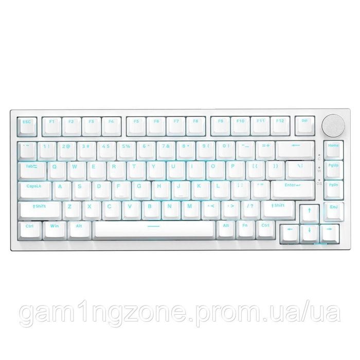 AJAZZ AK820 (White)
Формат 75% (81 клавіша), RGB підсвітка, регуля