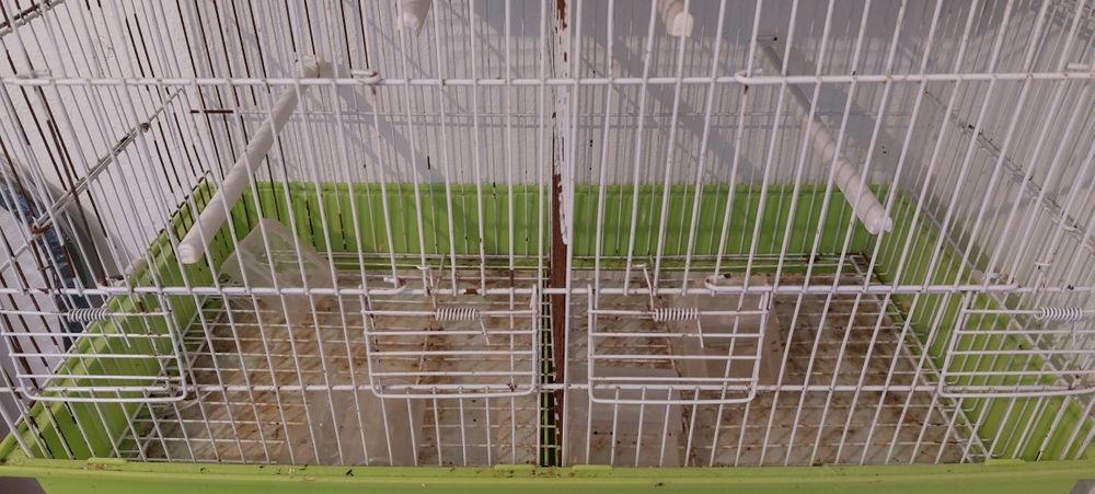 Gaiolas usadas - com separador