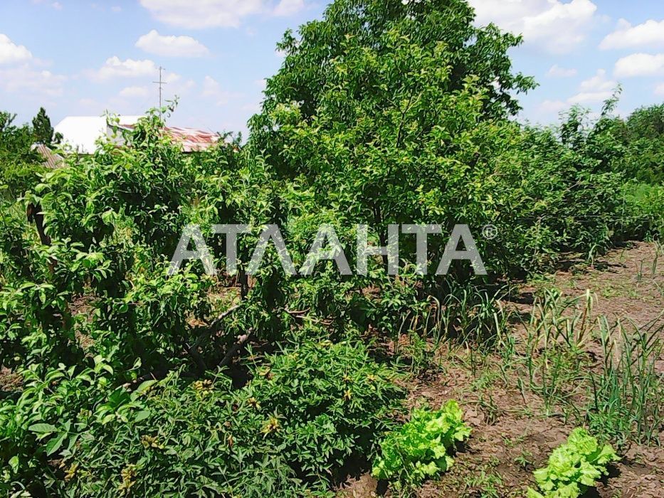 дом в с.Черевичное/Межлиманье/Хаджибеевский лиман