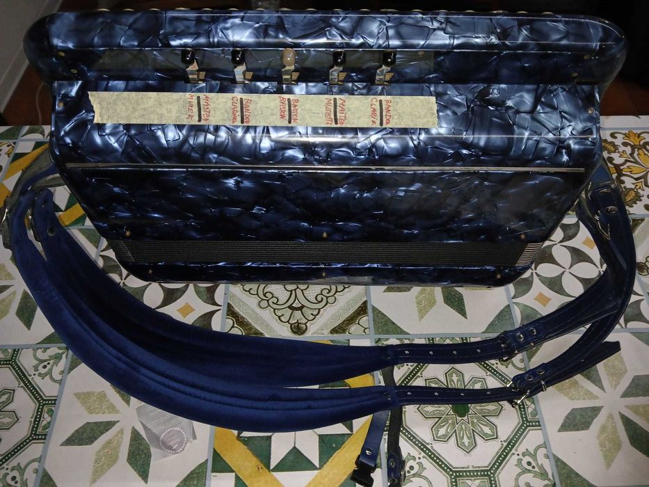 Acordeon Cavagnolo Vedette 10