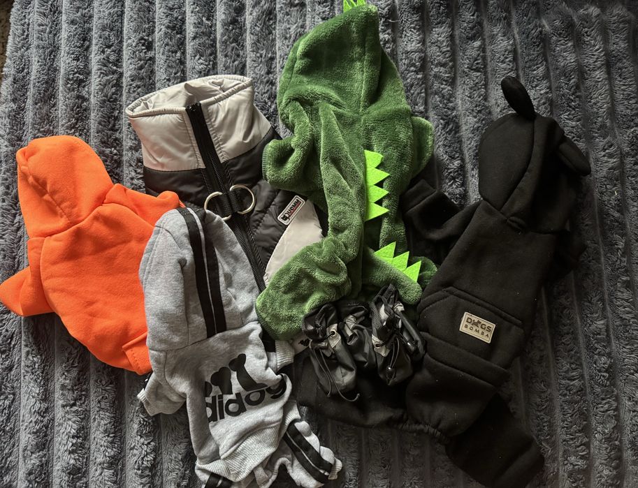 Одяг для песика.