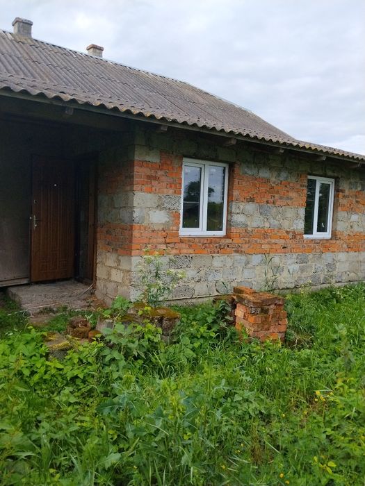 Продам будинок в селі літиня