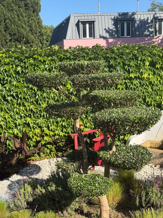 Serviço de minutemcao de jardim
