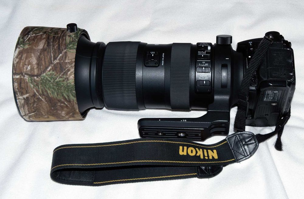 Sigma 60-600mm f/4.5-6.3 DG OS HSM Sports (Nikon F) + Nikon D7000