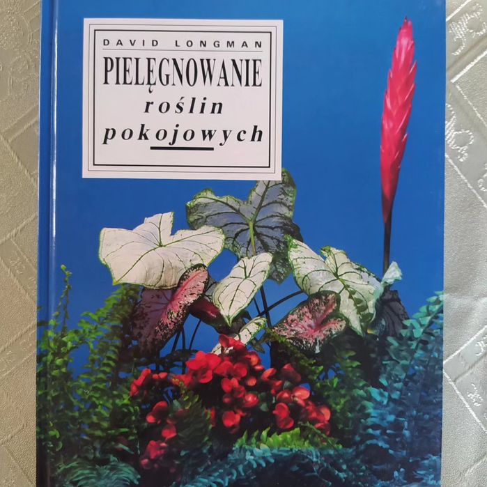 Pielęgnowanie roślin pokojowych